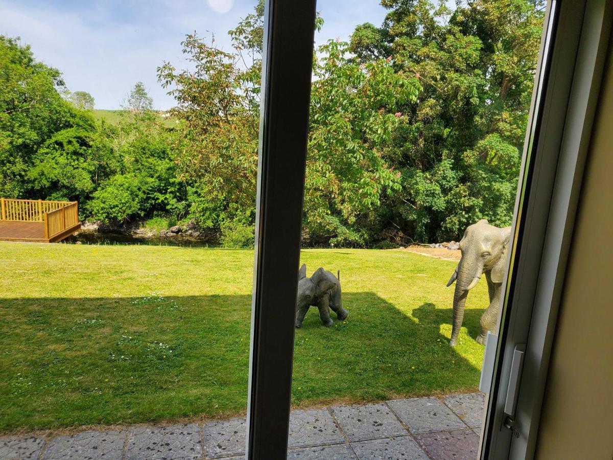 Ardilaun Guesthouse Self Catering Ennis Exteriér fotografie